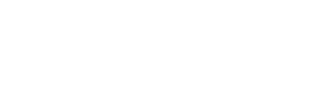 New Insight New York