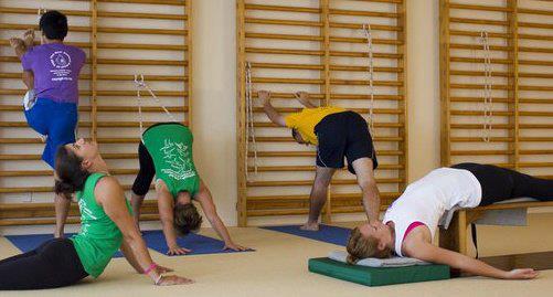New Zealand School Of Yoga New Zealand