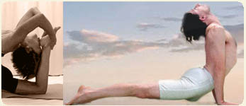 New Zealand School Of Yoga 