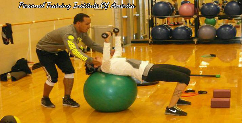 Personal Training Institute Of America (ptia) Sussex