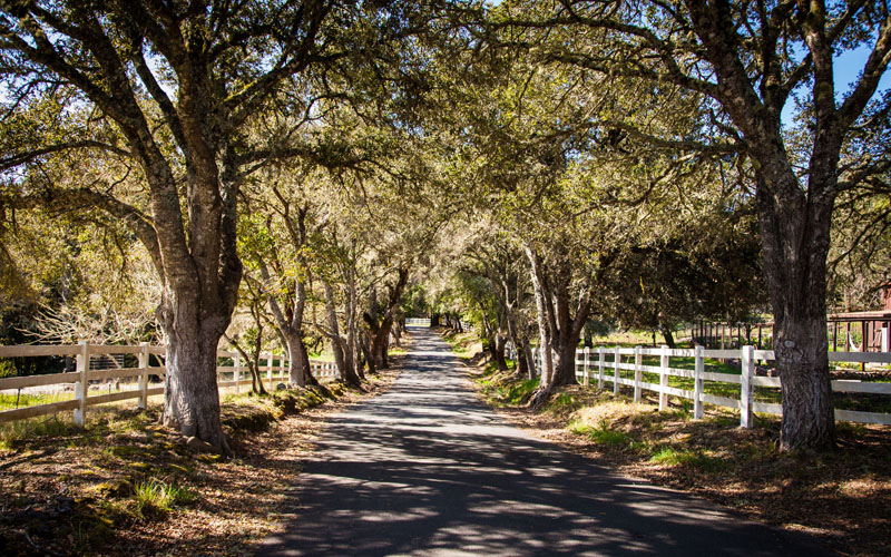 Ratna Ling Retreat Center United States