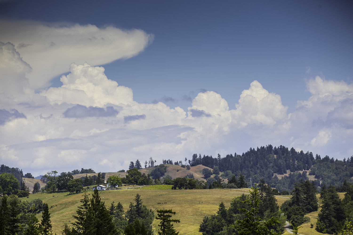  Sonoma