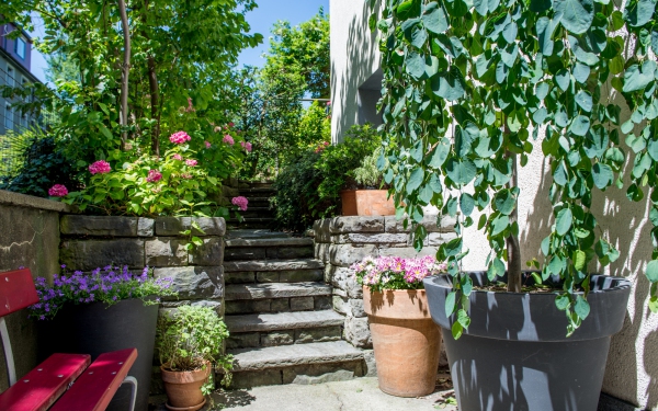 Samatvam Yogaschule Switzerland