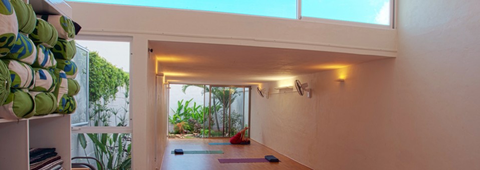 Semilla Yoga