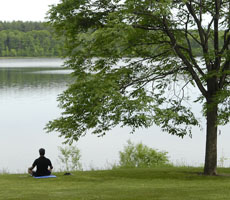 Tergar Meditation Center