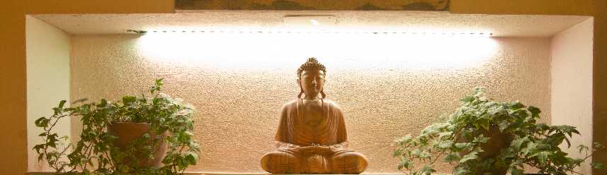 Vincent Pezet Yoga Studio 
