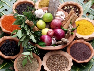 Yoga & Ayurveda Shelby Mcdermot