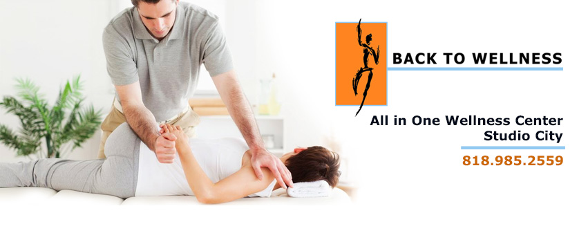 Back To Wellness Center Valley Village United States