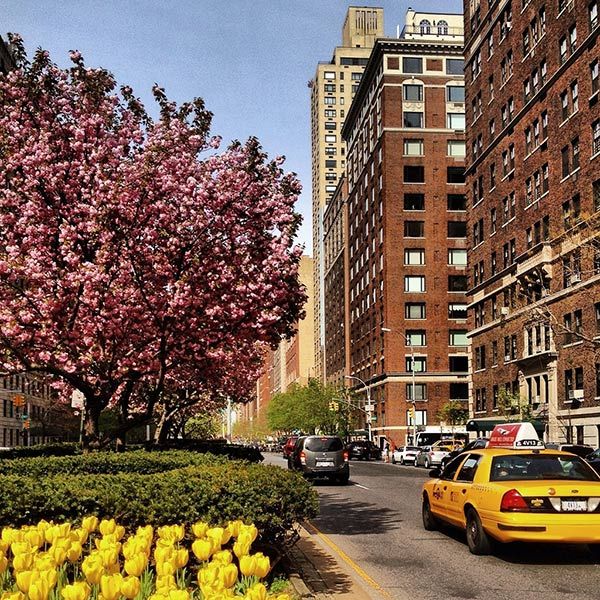 Bikram Yoga Upper East Side 