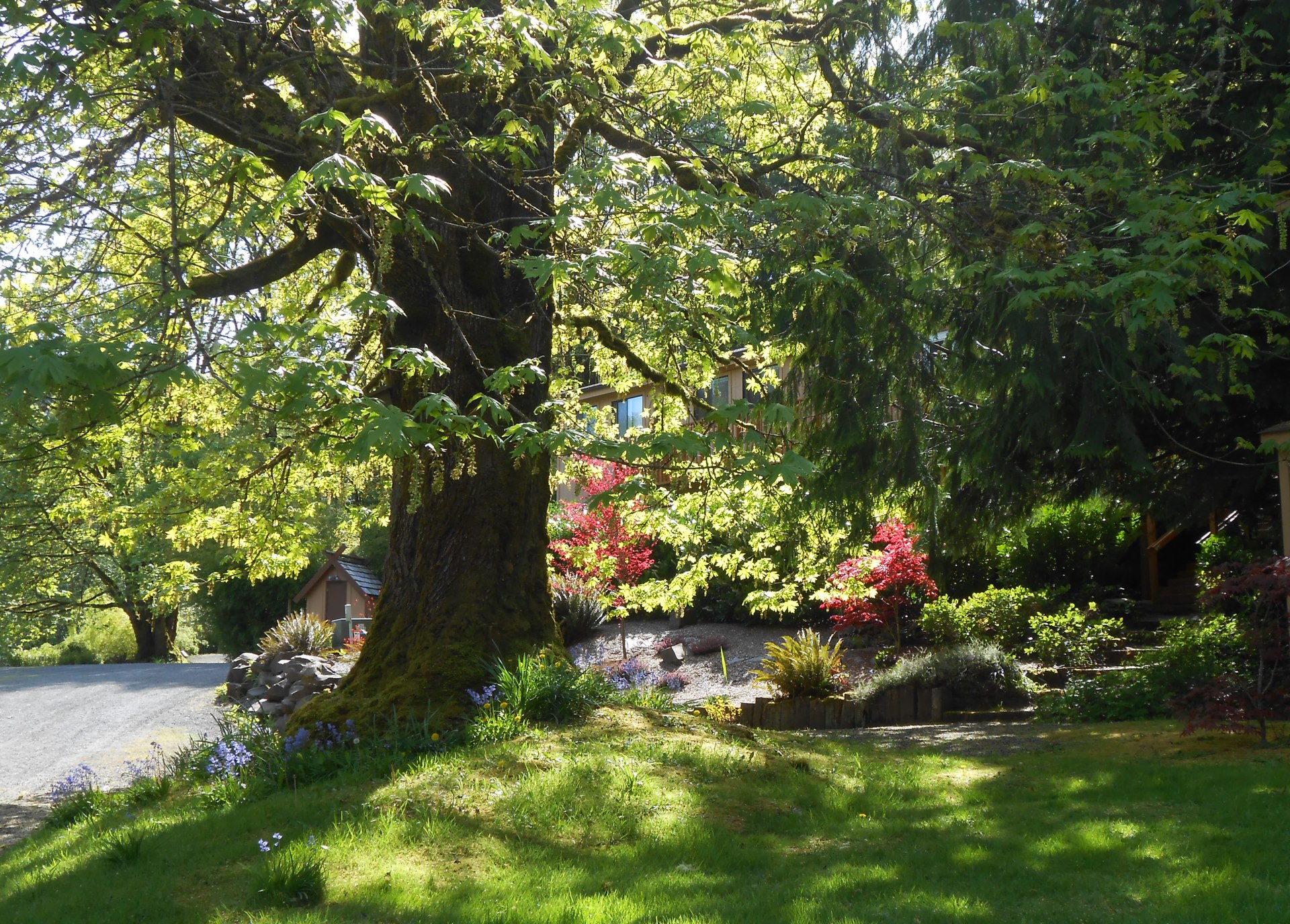 Cloud Mountain Retreat Center 