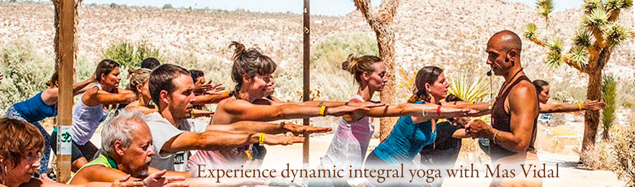 Dancing Shiva Yoga And Ayurveda United States