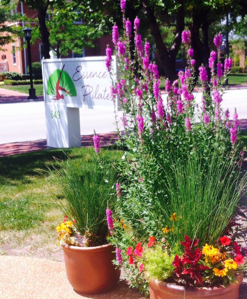 Essence Pilates Studio Deerfield