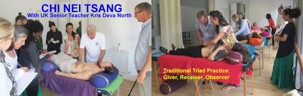 Healing Tao Meditation Tai Chi 