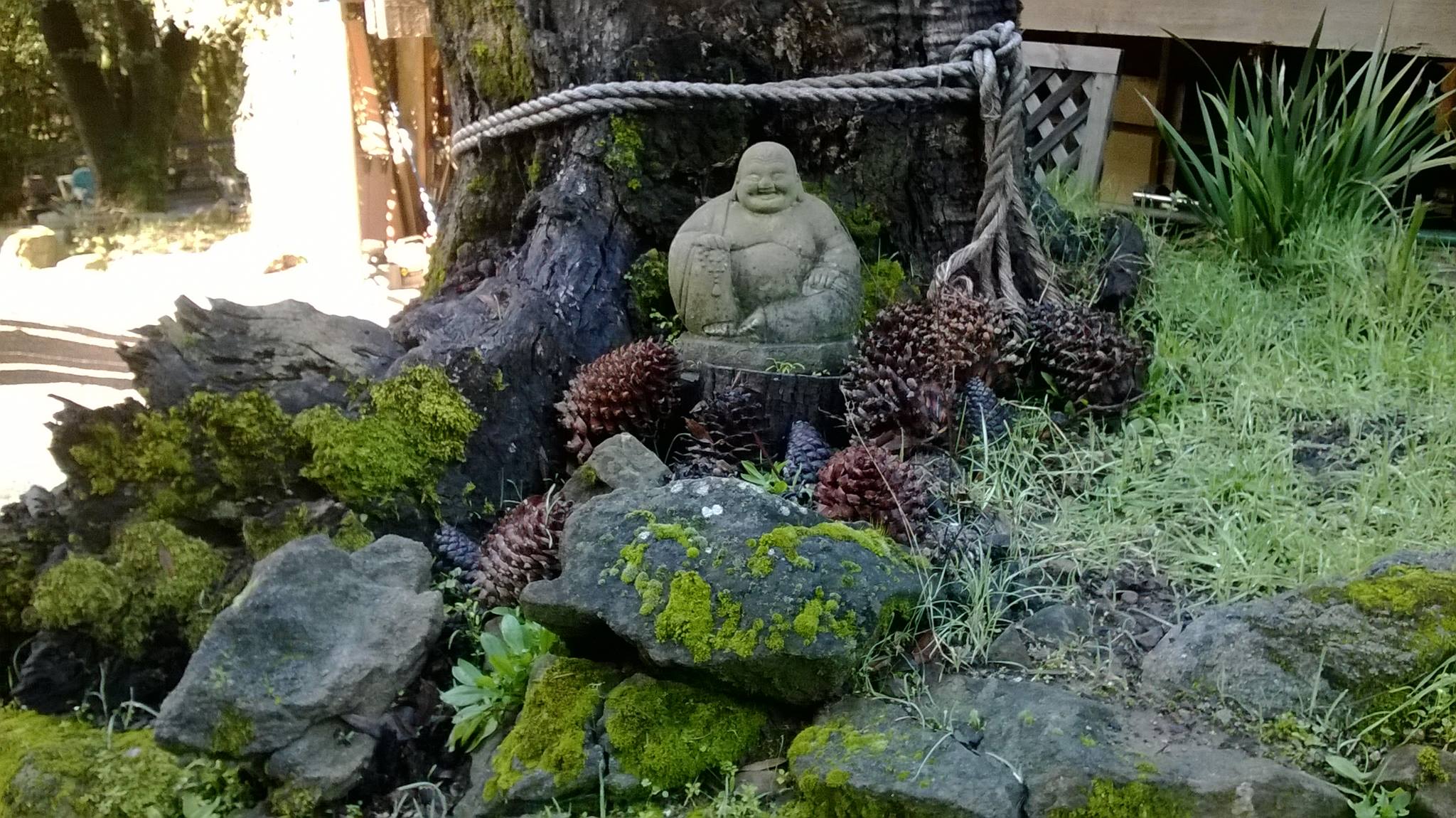  Los Gatos