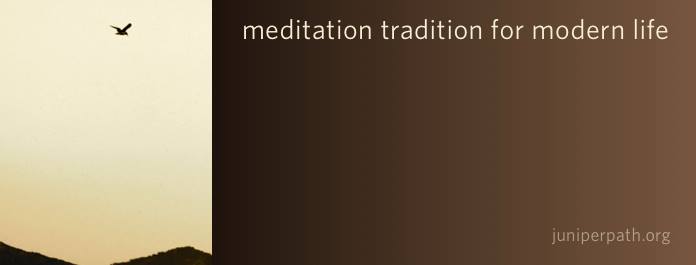 Juniper Meditation 