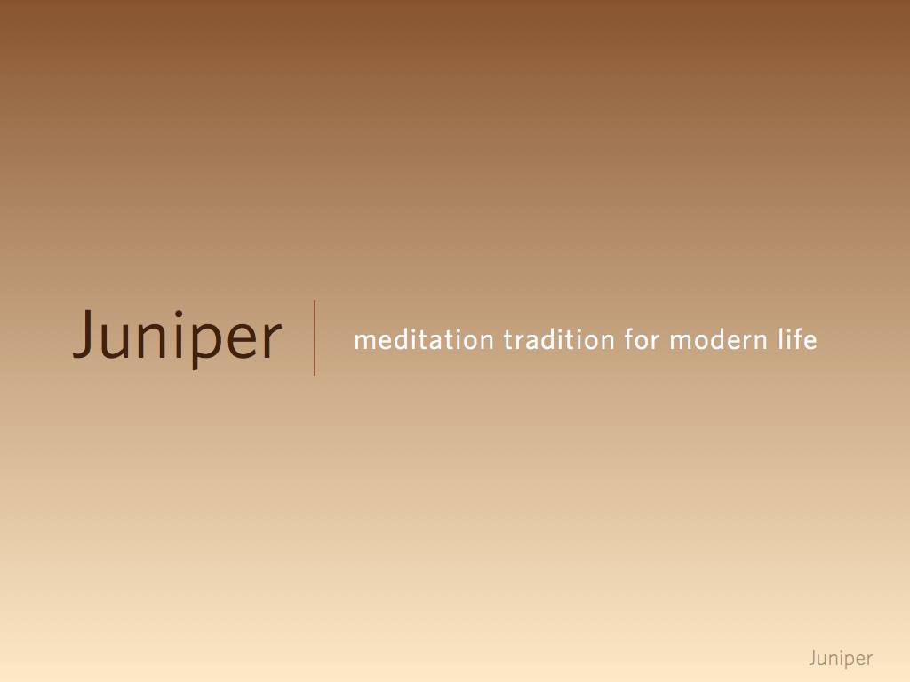 Juniper Meditation 