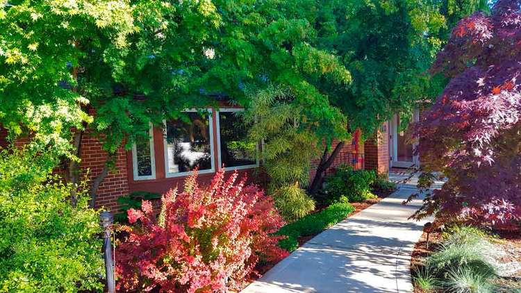 Mountain Stream Meditation Center 