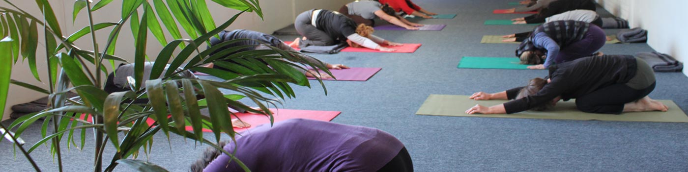 Sunyoga Sunshine