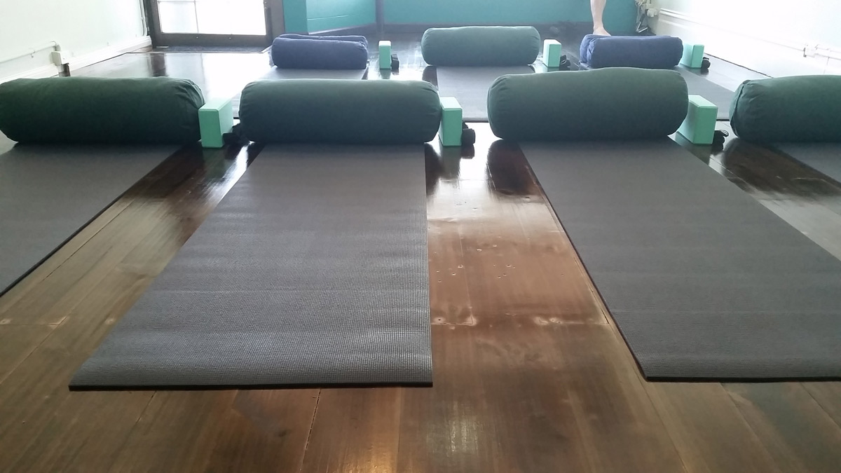 Tofu For Dolphins Yoga Studio North 