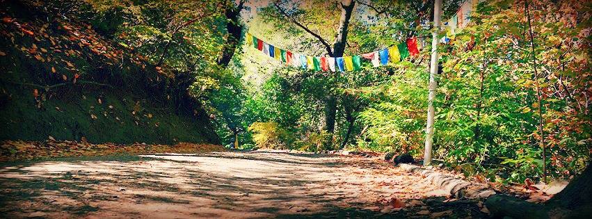 Vajrapani Institute Retreat Center 