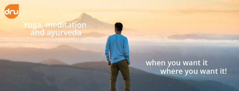 Dru Yoga And Meditation Center 