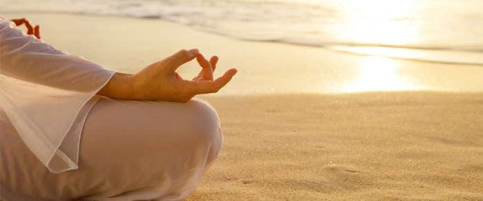 The Wellness Bank 