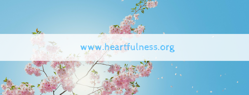 HEARTFULNESS MEDITATION CENTER United States