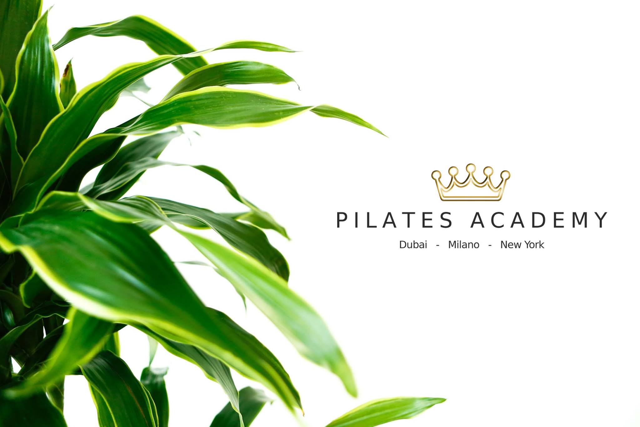 Pilates Academy Dubai
