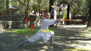 SHAOLINSINDIA Kung Fu School Nellore