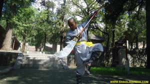 SHAOLINSINDIA Kung Fu School 