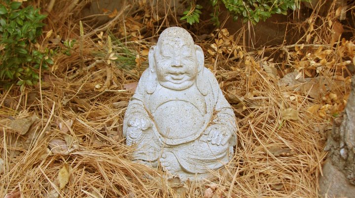 Shambhala Meditation Center Kentucky