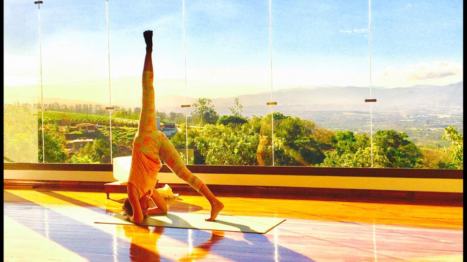 The Mindfulness Yoga Center