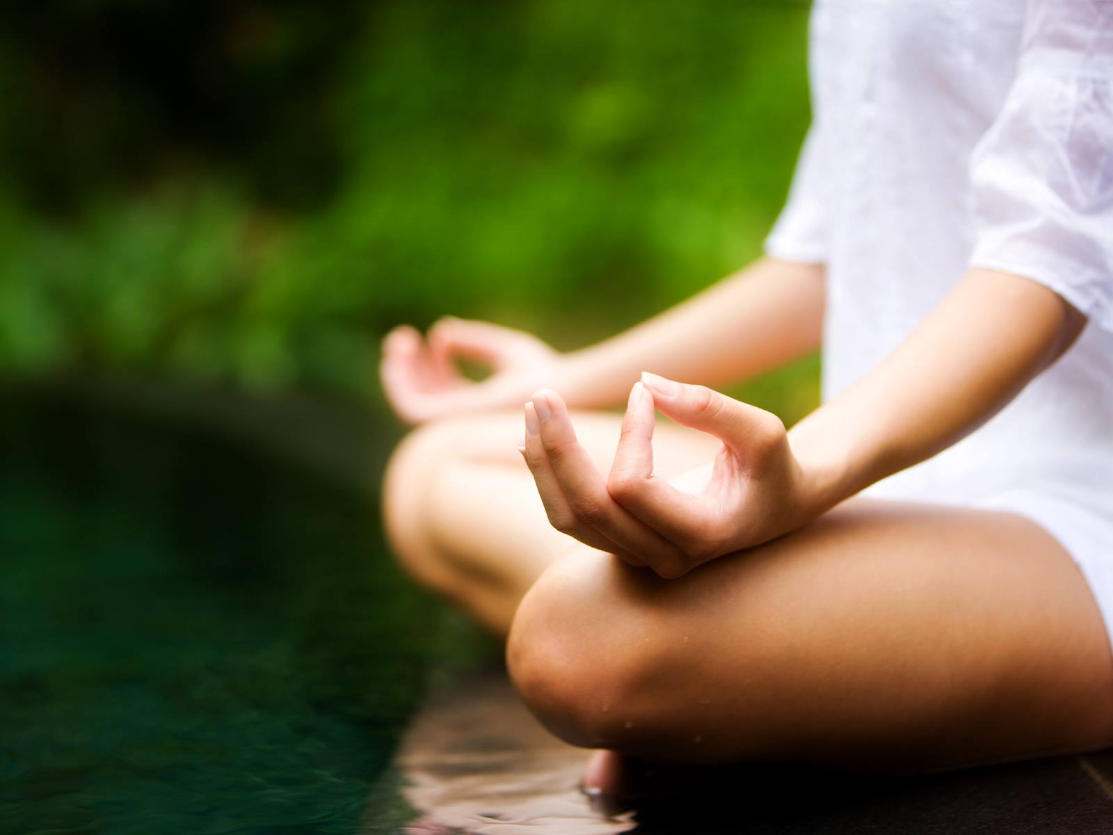 The Mindfulness Center 