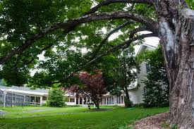 Vipassana Meditation Dhamma House New York