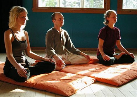 Ananda Meditation and Yoga Center Addison