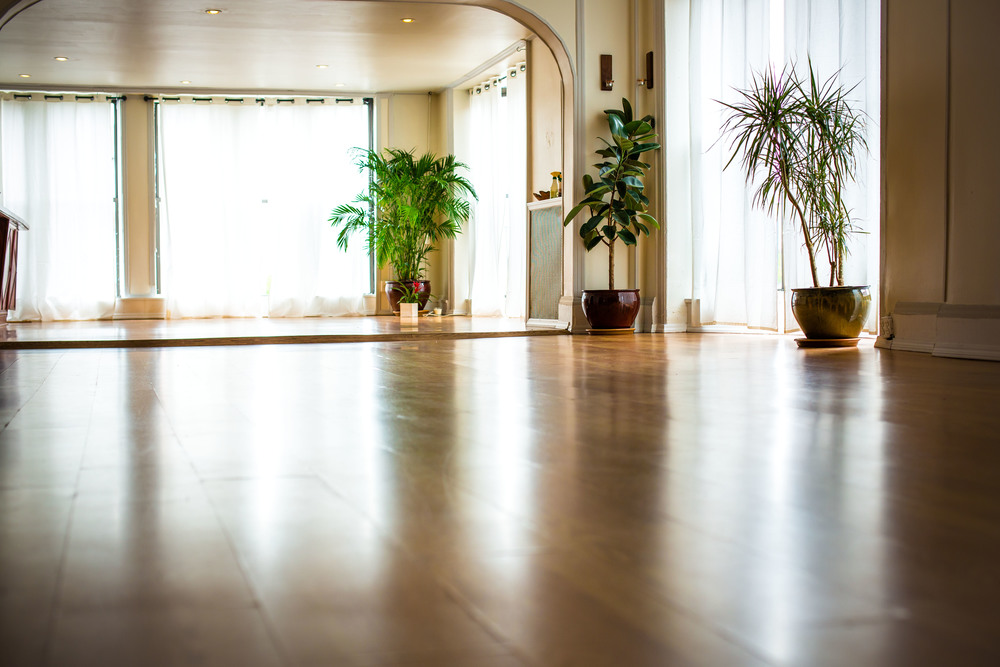 Brahman Yoga United states 