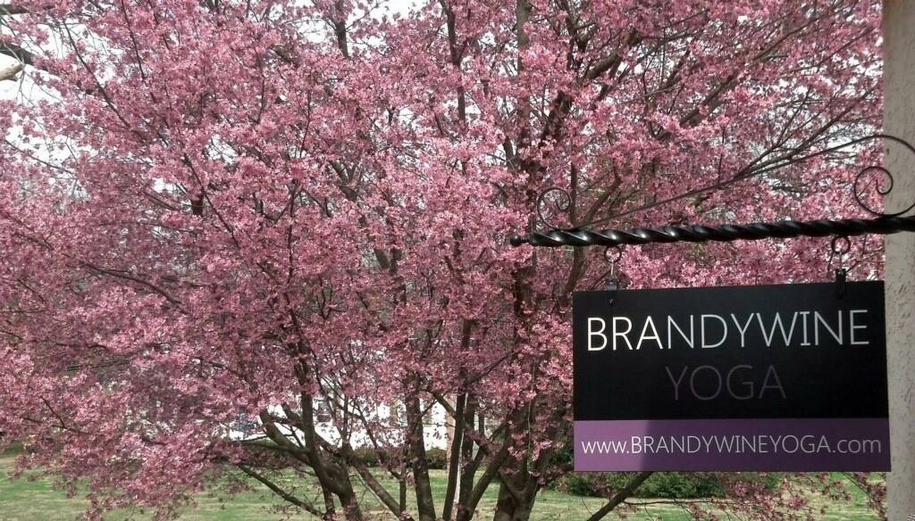 Brandywine Yoga United states West Chester