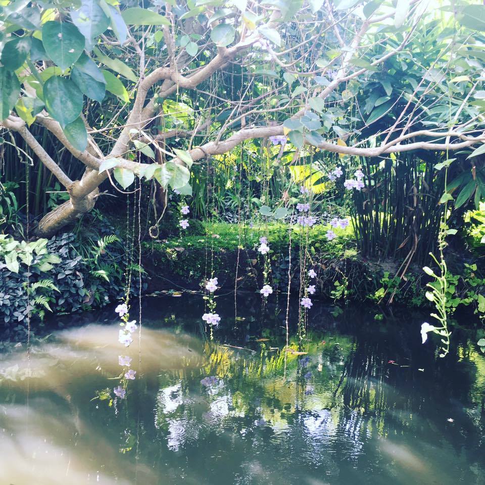Dragonfly Meditation Studio