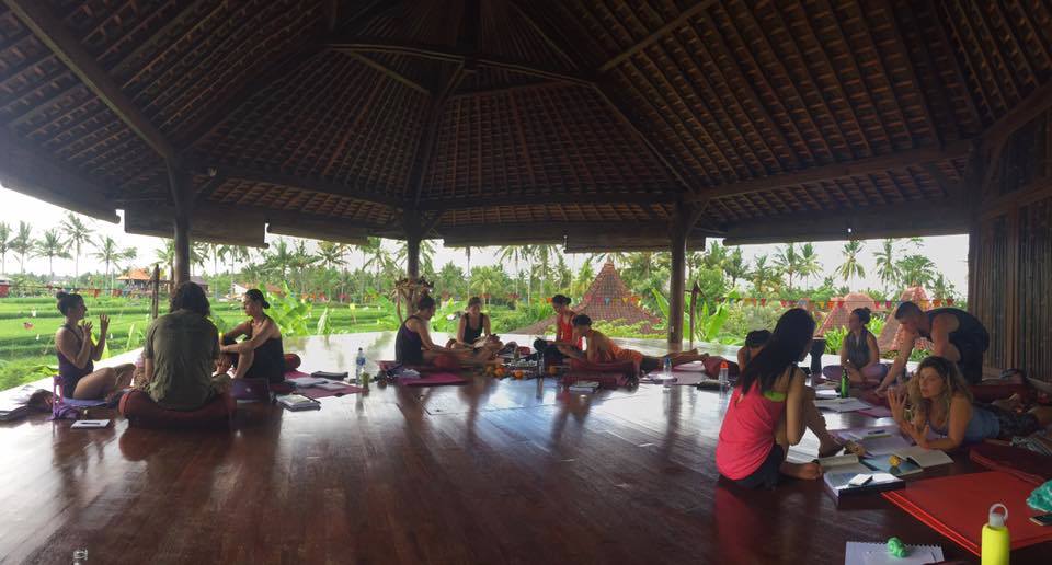 Dragonfly Meditation Studio 