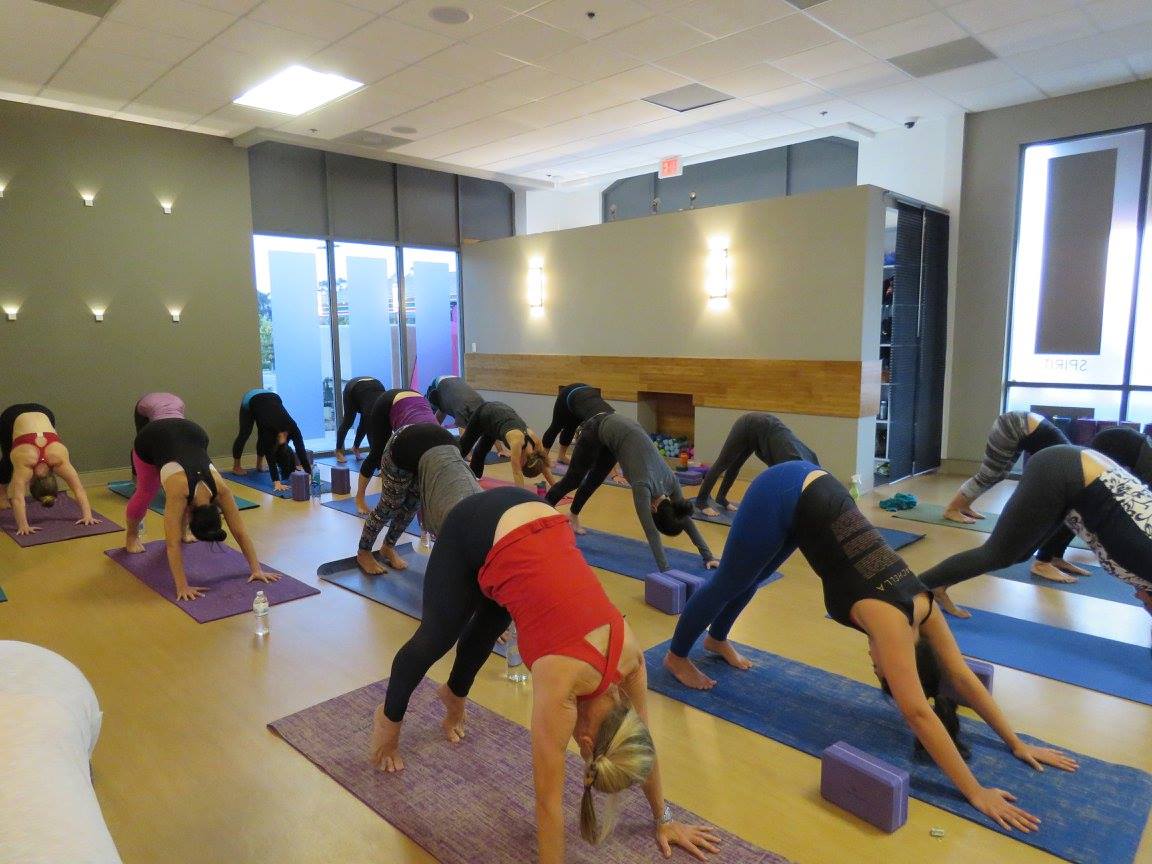 Elite-Yoga United states