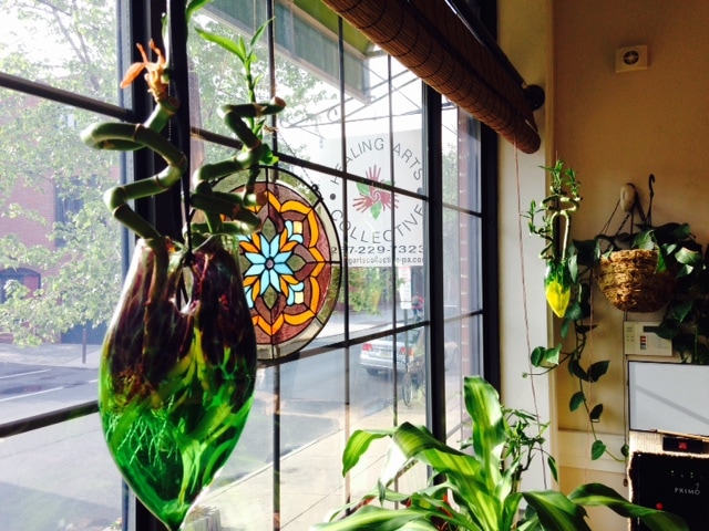 Healing Arts Collective Yoga United states 