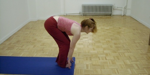 Premier Pilates &amp; Yoga United states 