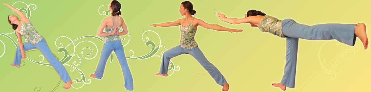 Synergy Yoga Studio Virginia United States