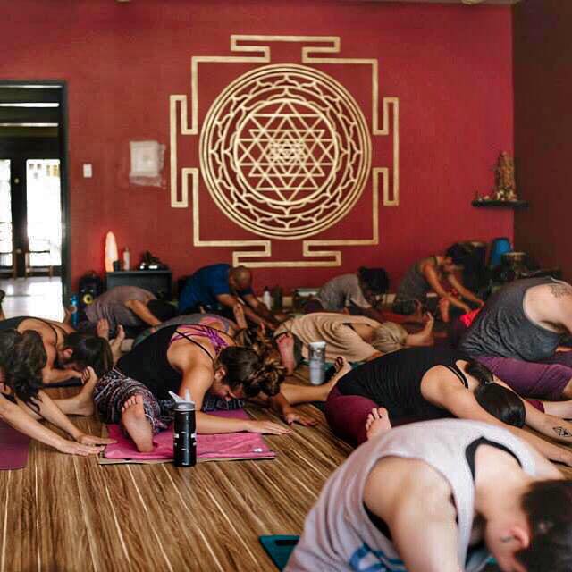 YOGALUTION MOVEMENT 