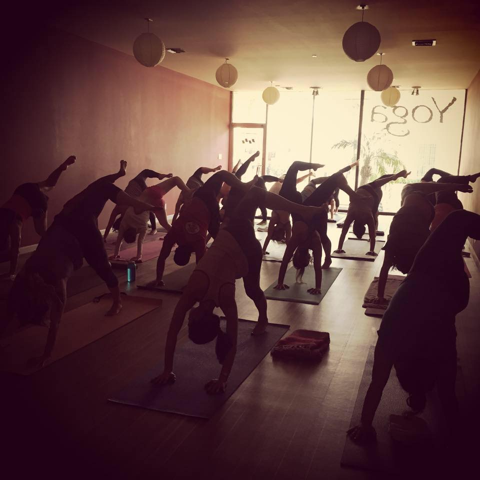 YOGALUTION MOVEMENT 