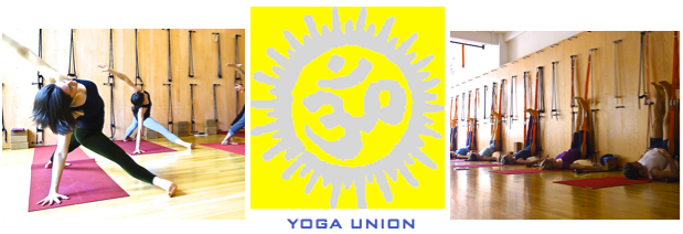 Yoga Union United states