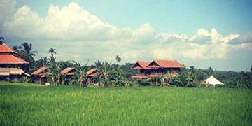 Silent Meditation Retreat Center Indonesia