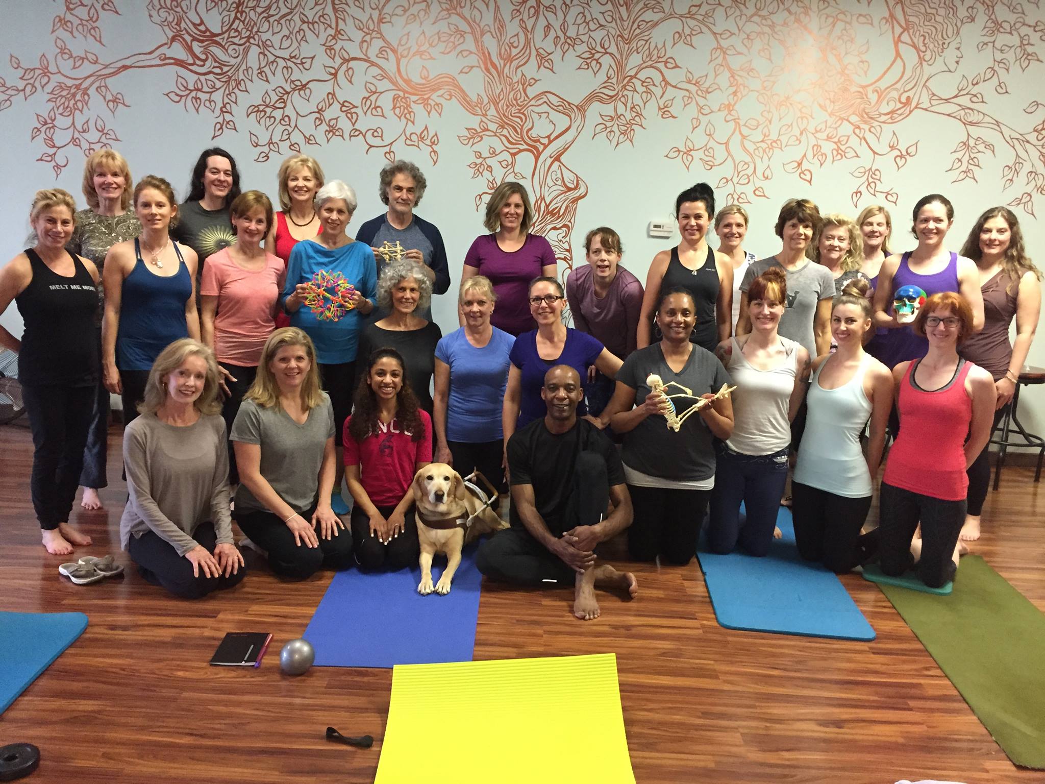 Body Awareness Studio Pilates Studio Atlanta