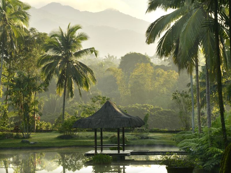 Healing Yoga Holidays