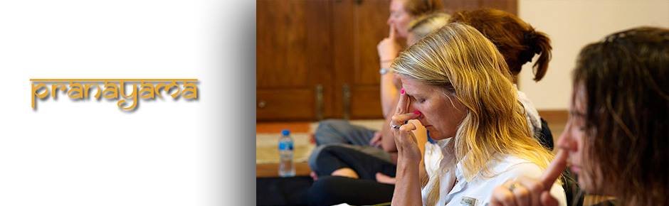 Mystic Yoga And Meditation School Mysore